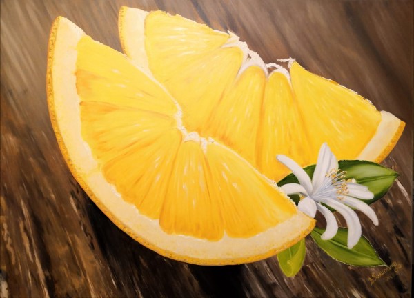 Orange Wedges by Valentyna Pylypenko